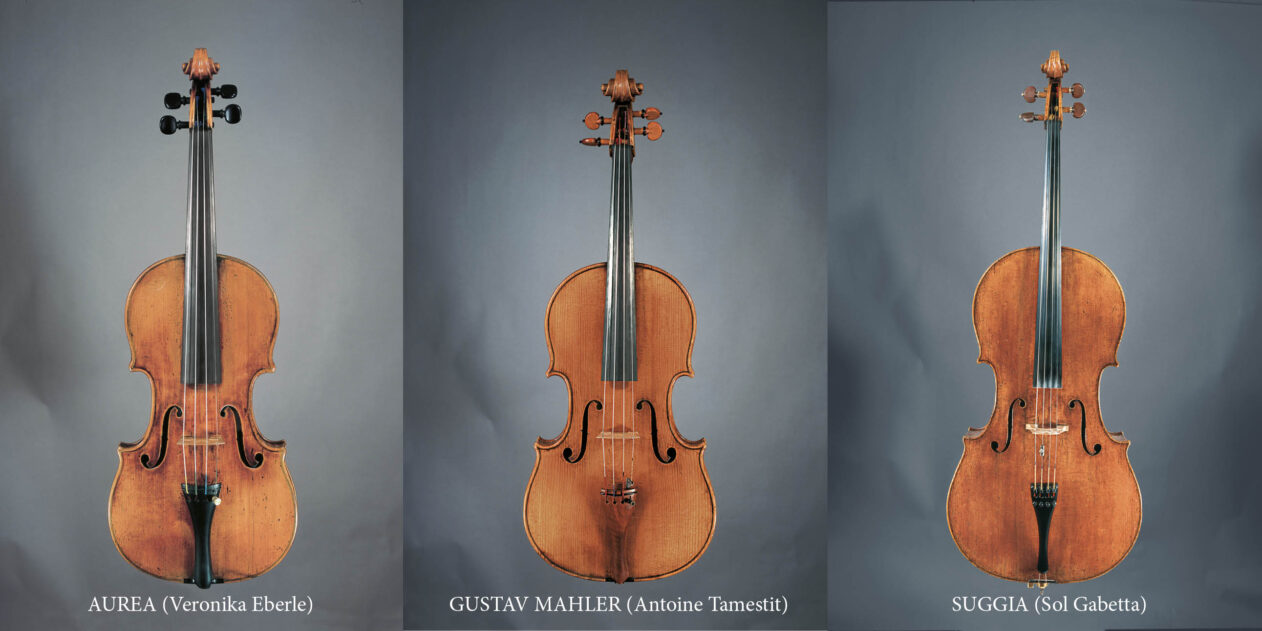 NL_Instrumente Stradivari