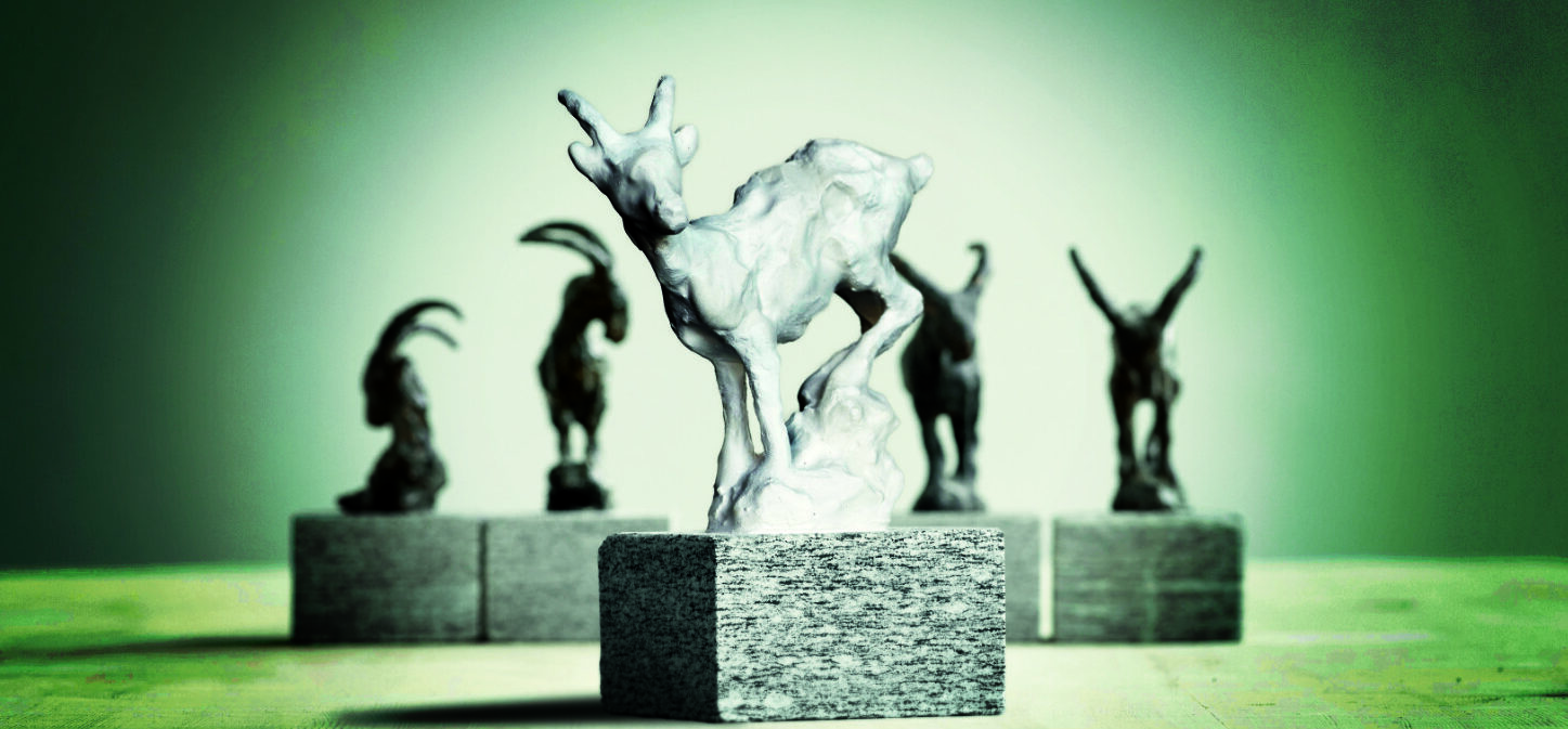 Steinbock Steingeiss 2026