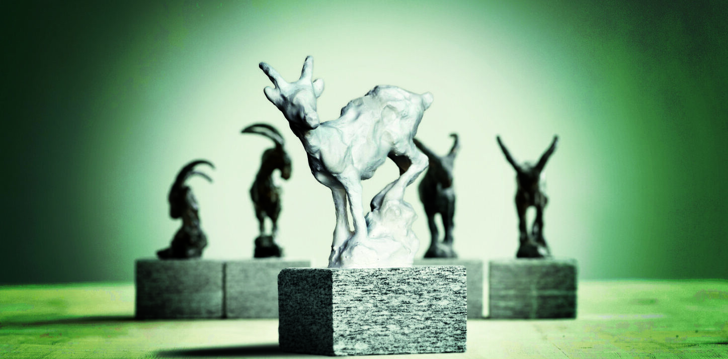 Steinbock Steingeiss 2026